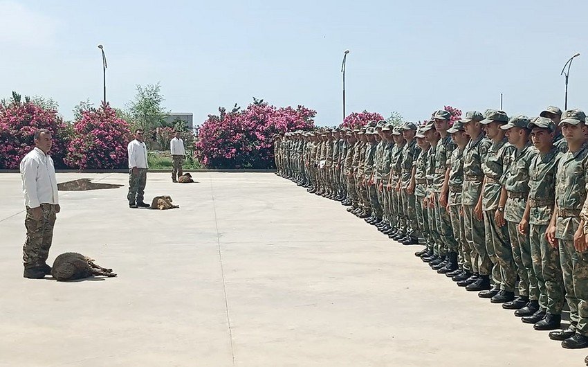 Ordumuzda Qurban bayramı