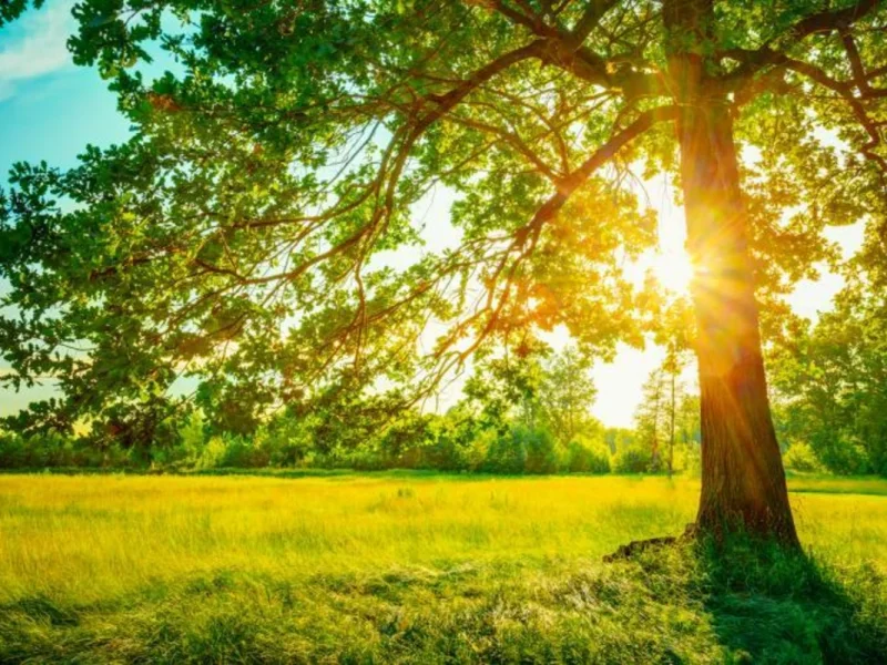 28 dərəcə isti olacaq - HAVA PROQNOZU