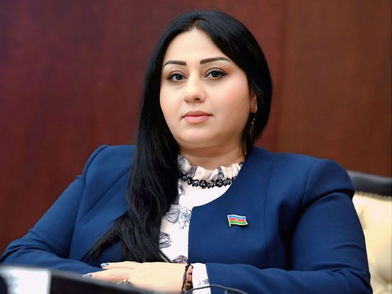 Dövlət siyasətinin mahiyyəti kiminsə şəxsi ambisiyasına yox, cəmiyyətin təhlükəsizliyinə, suverenliyə və milli birlik prinsipinə əsaslanır