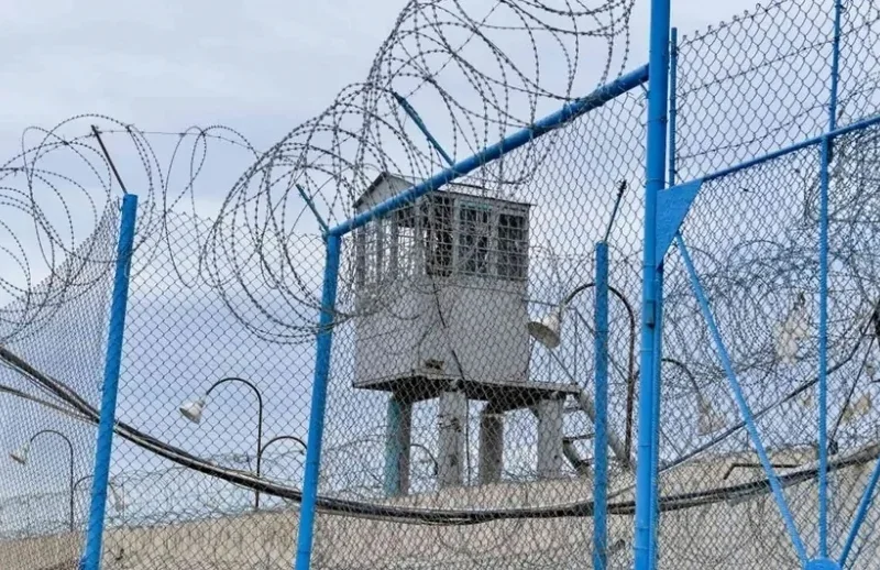 Amnistiyaya düşəcək məhkumların dairəsi məlum oldu - SƏNƏD