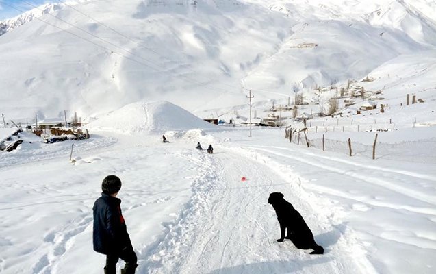 Zaqatalaya 30 sm qar yağıb
